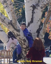 kid_climbing_tree
