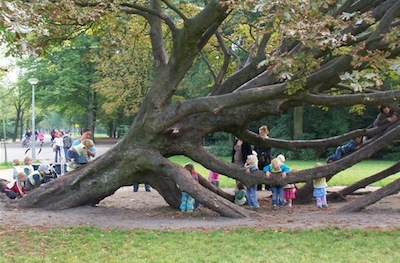 kids_play_tree